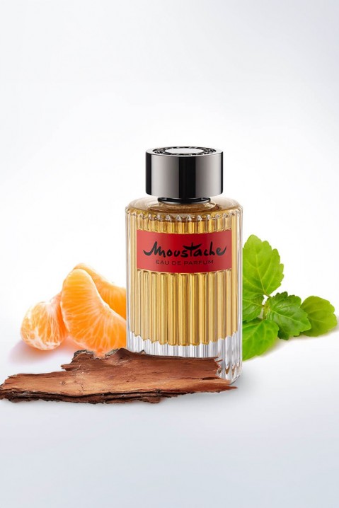 Парфем Rochas Moustache EDP 125 mlIVET.MK - Твојата онлајн продавница