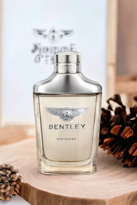 Парфем тестер Bentley Infinite EDT 100 mlIVET.MK - Твојата онлајн продавница
