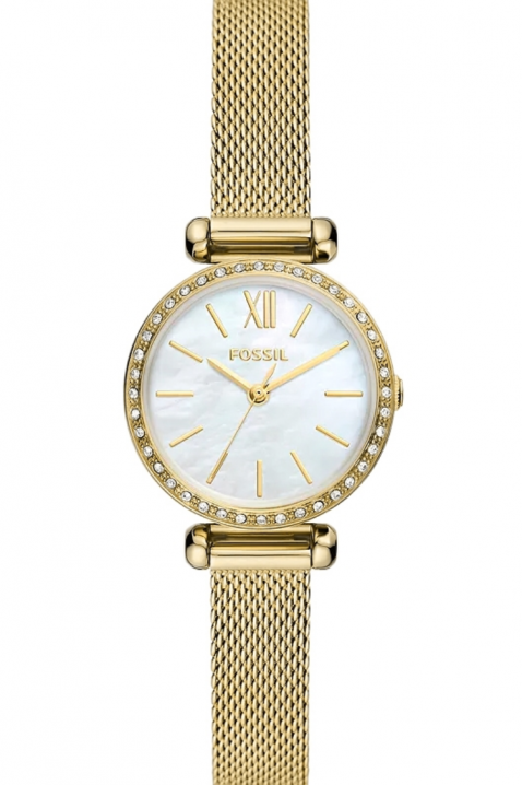 Женски часовник Fossil BQ3898, Боја: златна , IVET.MK - Твојата онлајн продавница