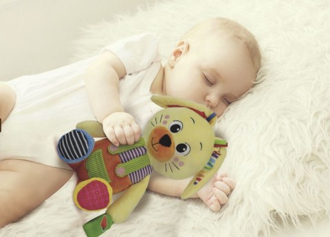 Мојот Пријател Зајак | Baby For YouIVET.MK - Твојата онлајн продавница